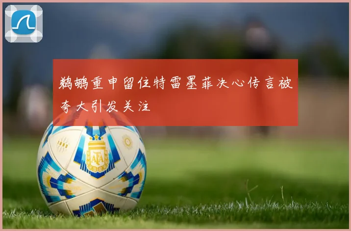 鹈鹕重申留住特雷墨菲决心传言被夸大引发关注